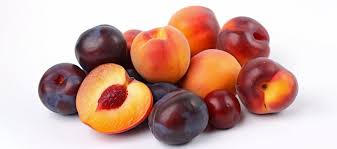 USA PLUMS EACH
