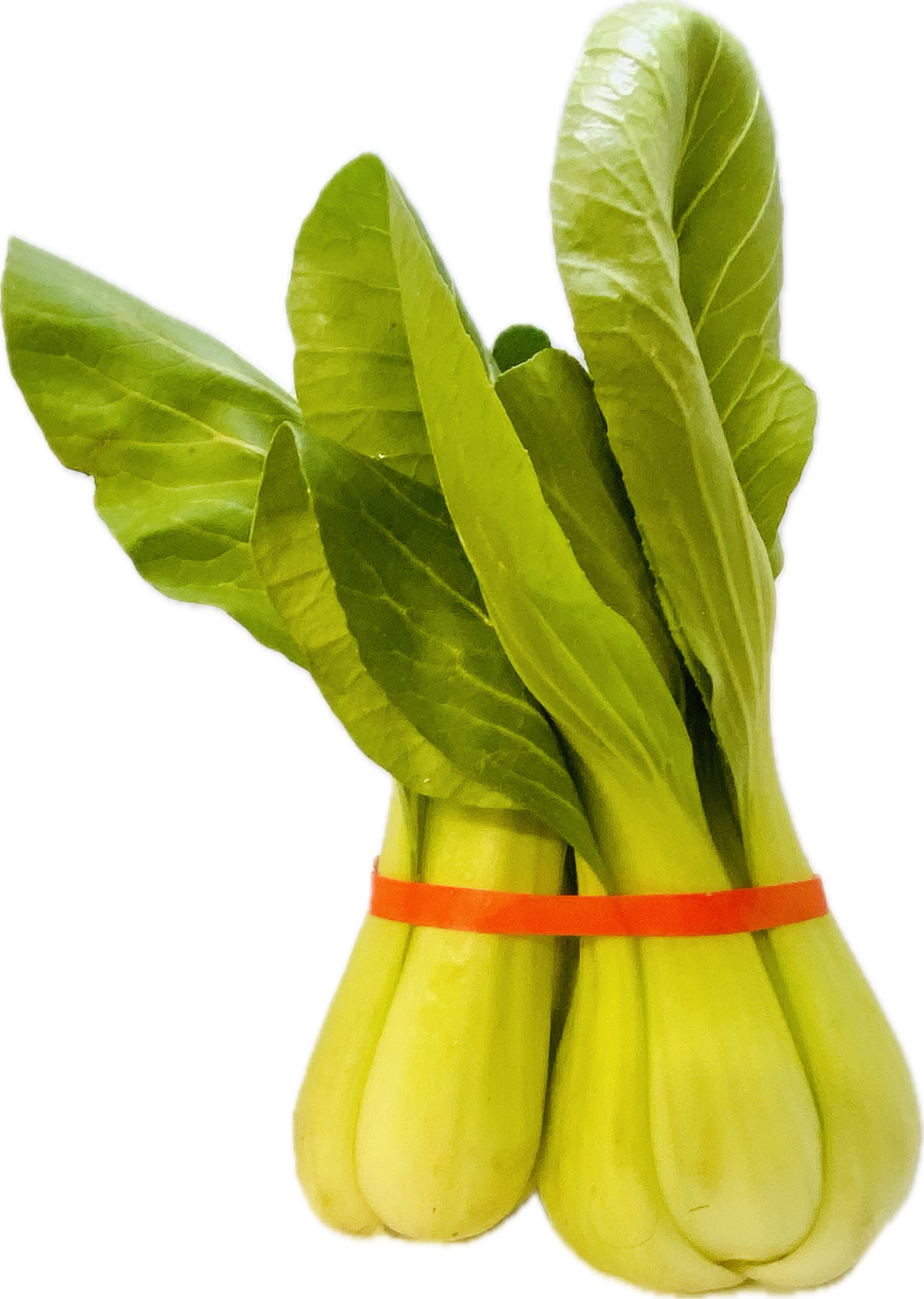 SHANGHAI BOK CHOY BAG