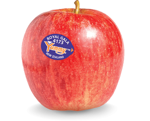 APPLES ROYAL GALA