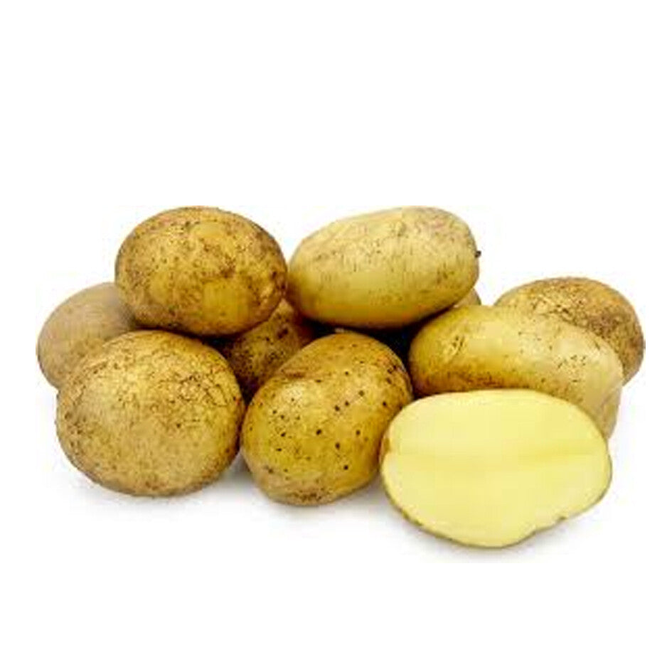 AGRIA POTATOES 1.5KG BAG