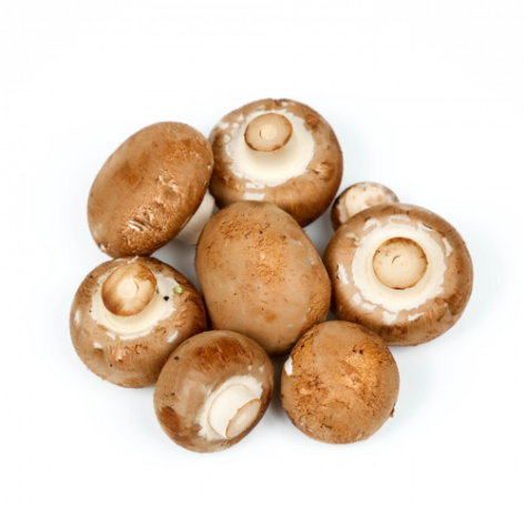 MUSHROOMS SWISS BROWN KG