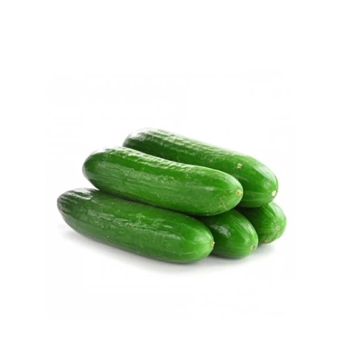 CUCUMBER LEBANESE