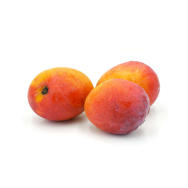 MANGO IRWIN EACH