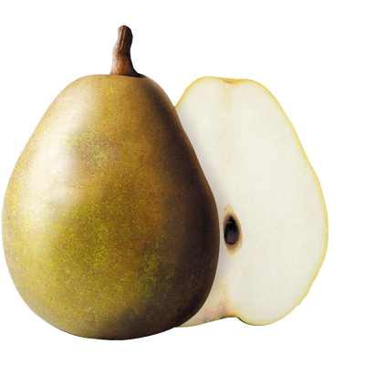 PEARS ANGELYS KG