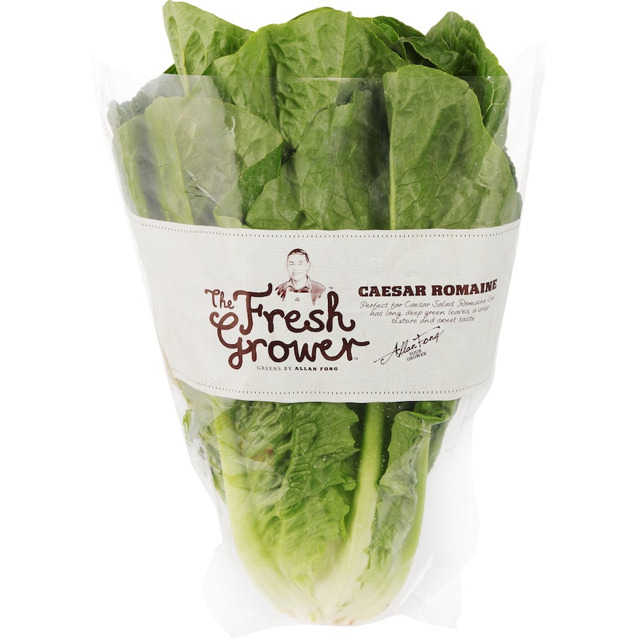 LETTUCE CAESAR ROMAINE THE FRESH GROWER