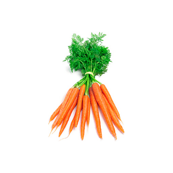 CARROTS - BABY BUNCH