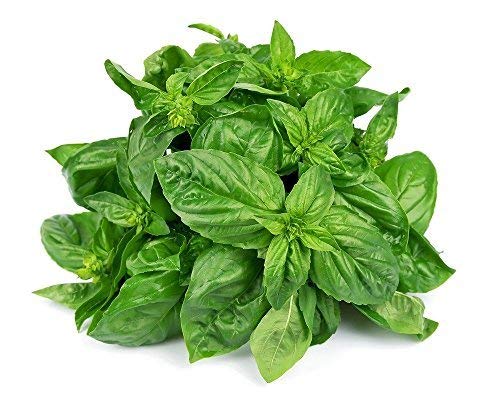 BASIL HERB per 100g