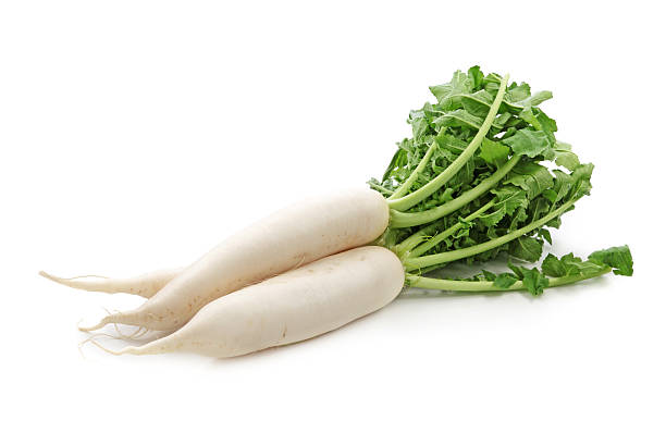 RADISH DAIKON EA