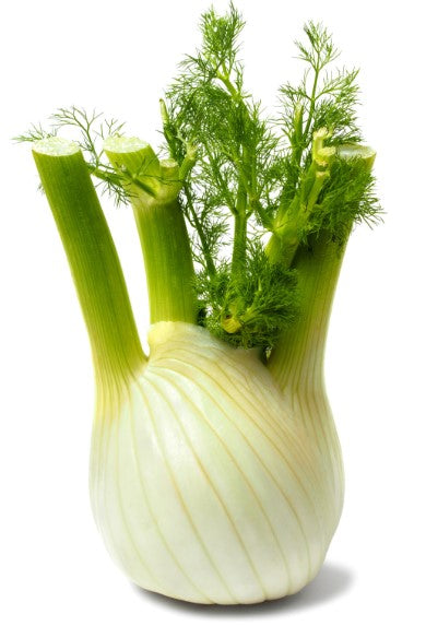 FENNEL BULB each