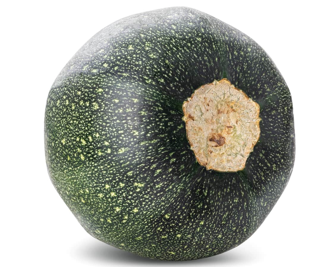 SQUASH GEM EACH
