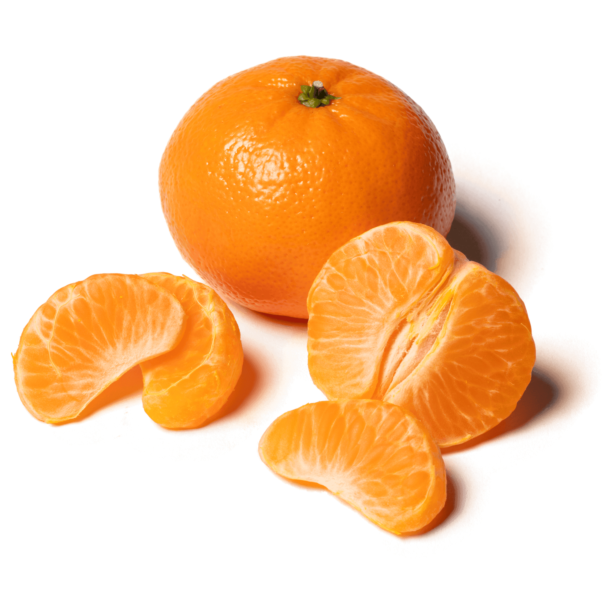 MANDARINS DANDY KG