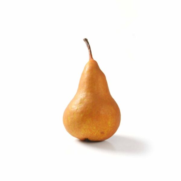 PEAR  BOSC KG