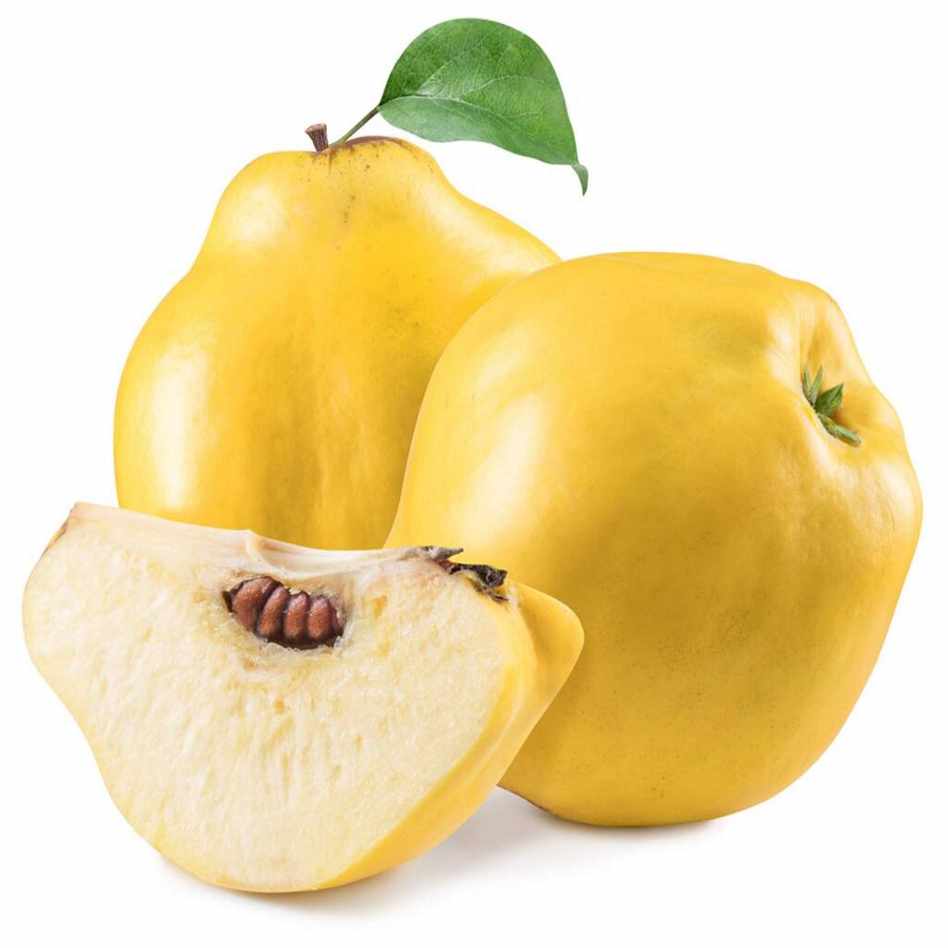 QUINCE KG