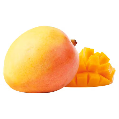 MANGO R2E2