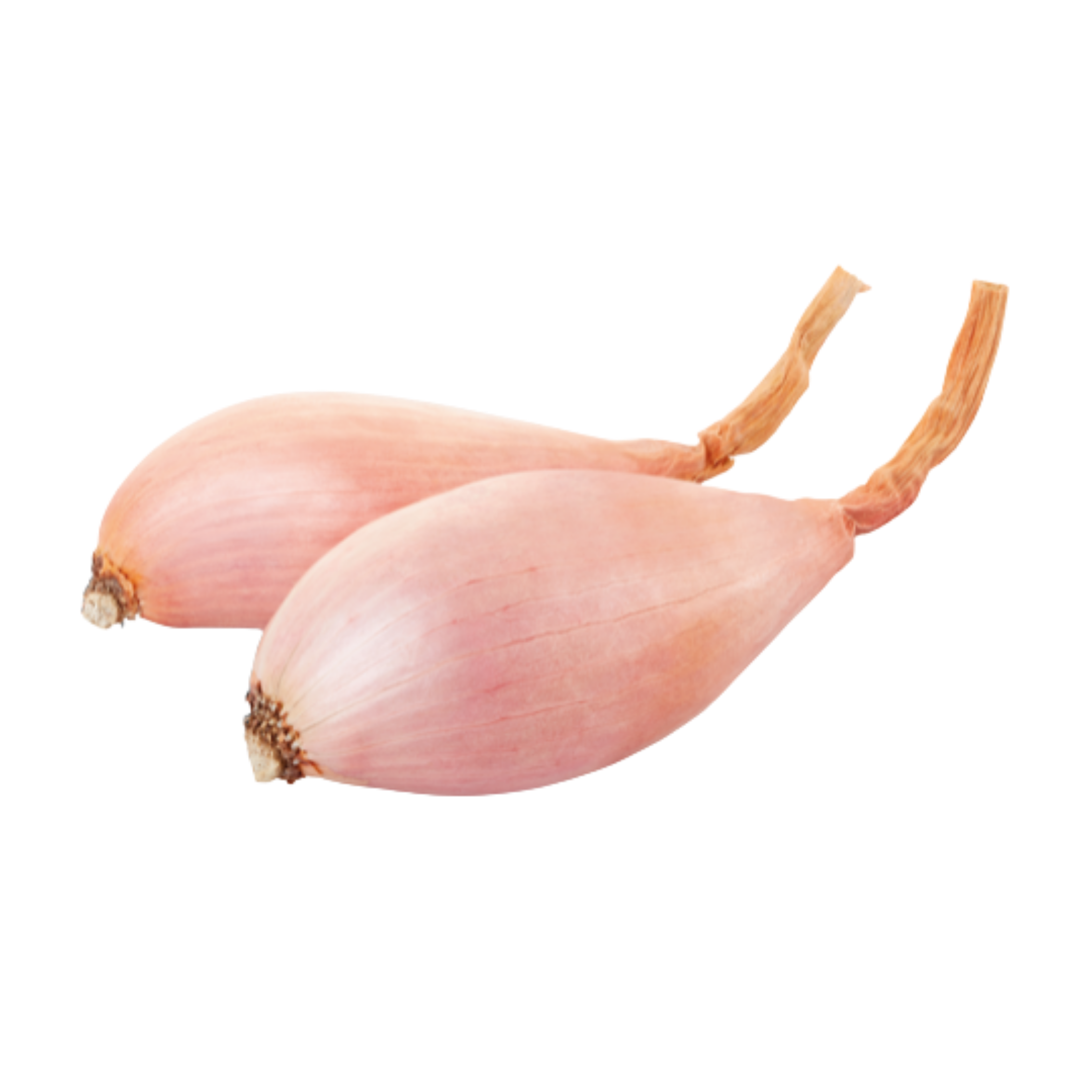 SHALLOTS GOLDEN kg