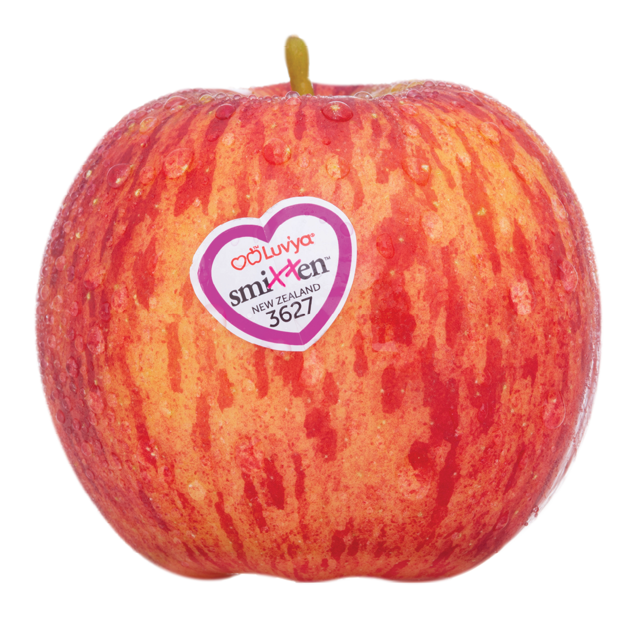 APPLE SMITTEN KG