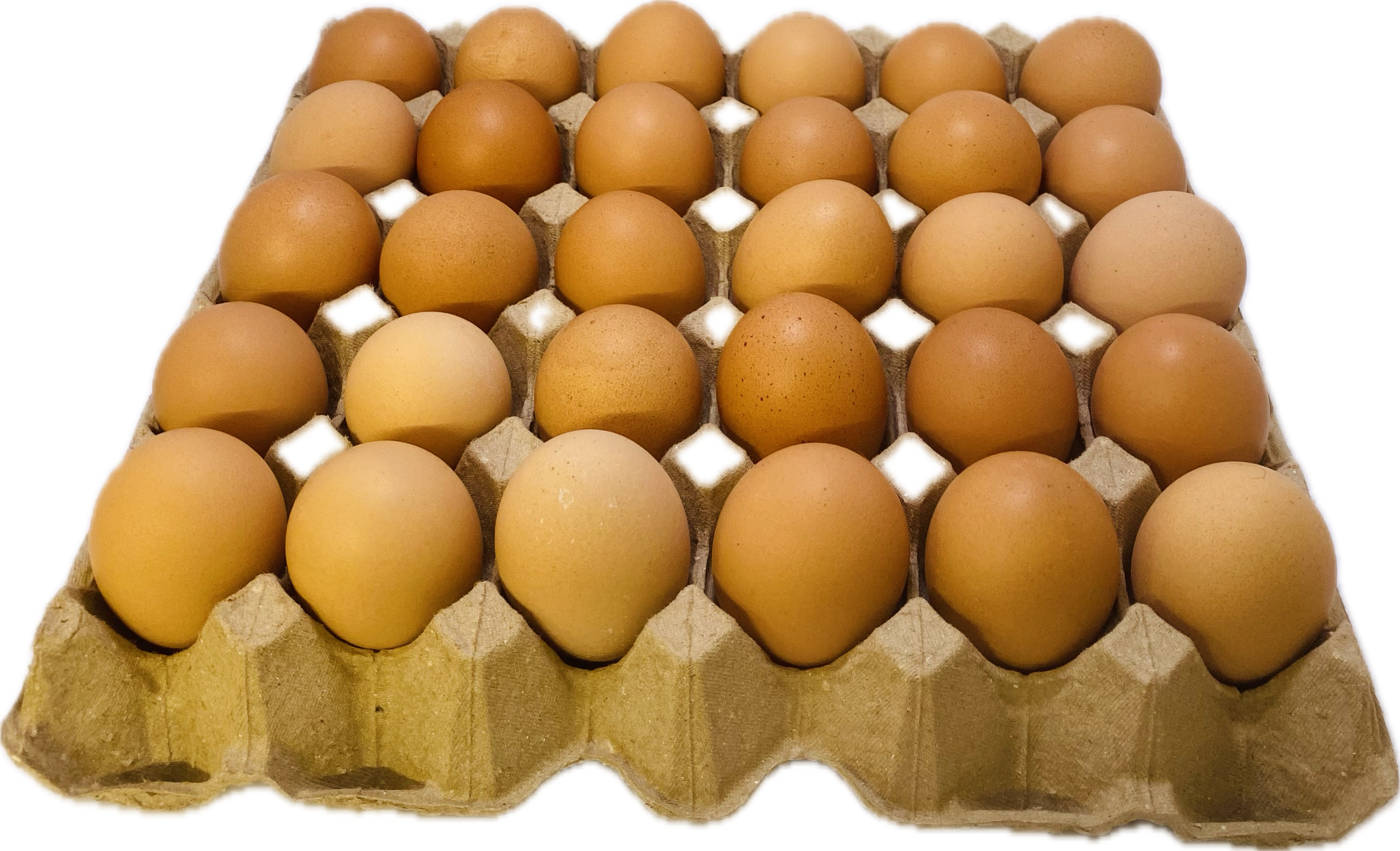 FREE RANGE EGGS mixed grade 30 TRAY