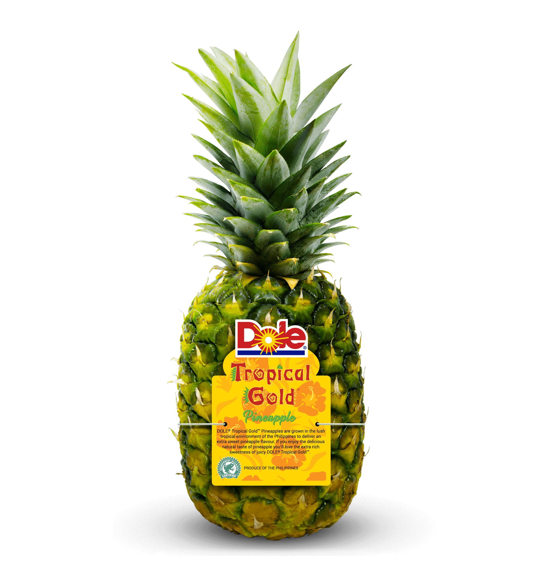 PINEAPPLE GOLD EACH