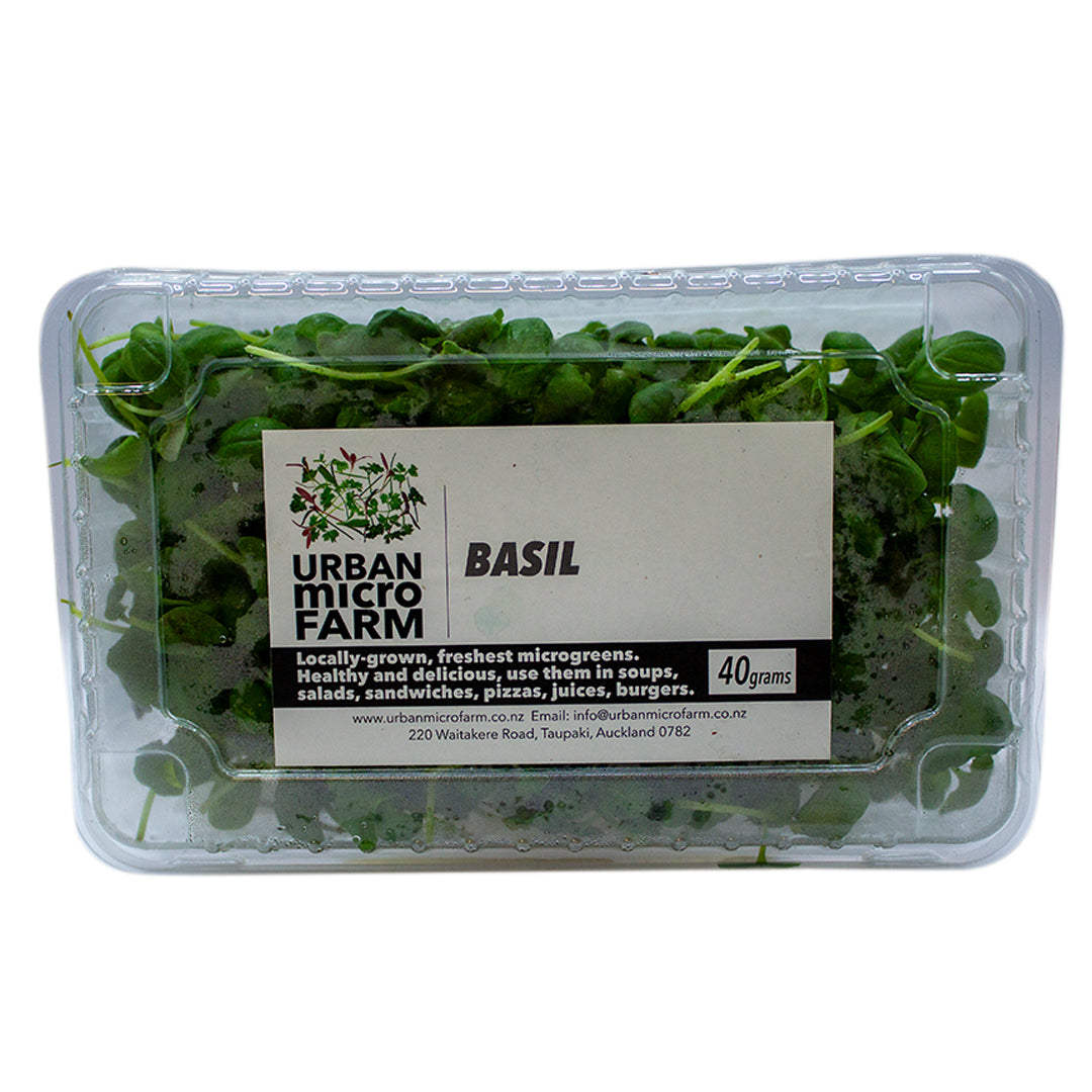 URBAN MICRO FARM BASIL 40G