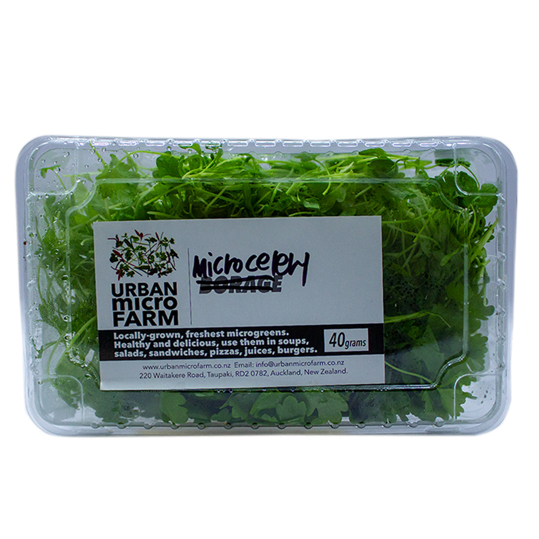 URBAN MICRO FARM MICRO CELERY 40G