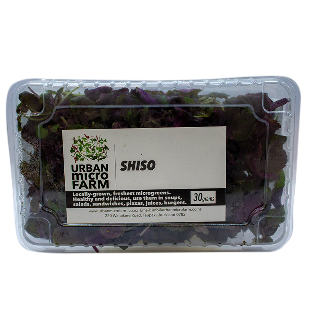 URBAN MICRO FARM SHISO 50G