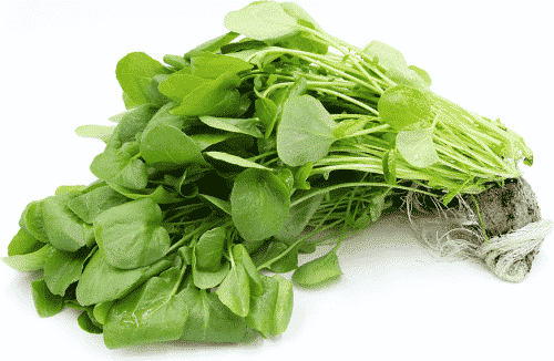 WATERCRESS BUNCH