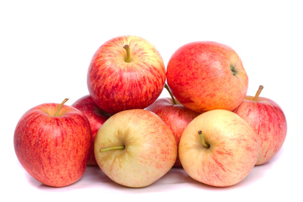 APPLES NZ QUEEN KG