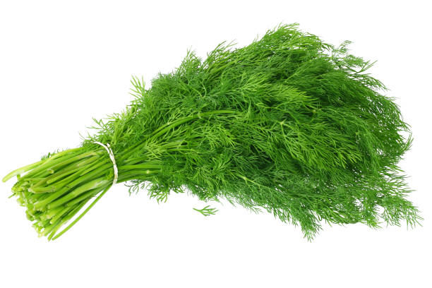 DILL HERB per 100g