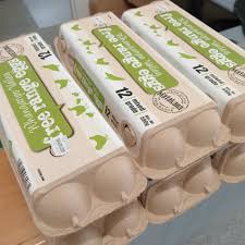 FREE RANGE EGGS 12