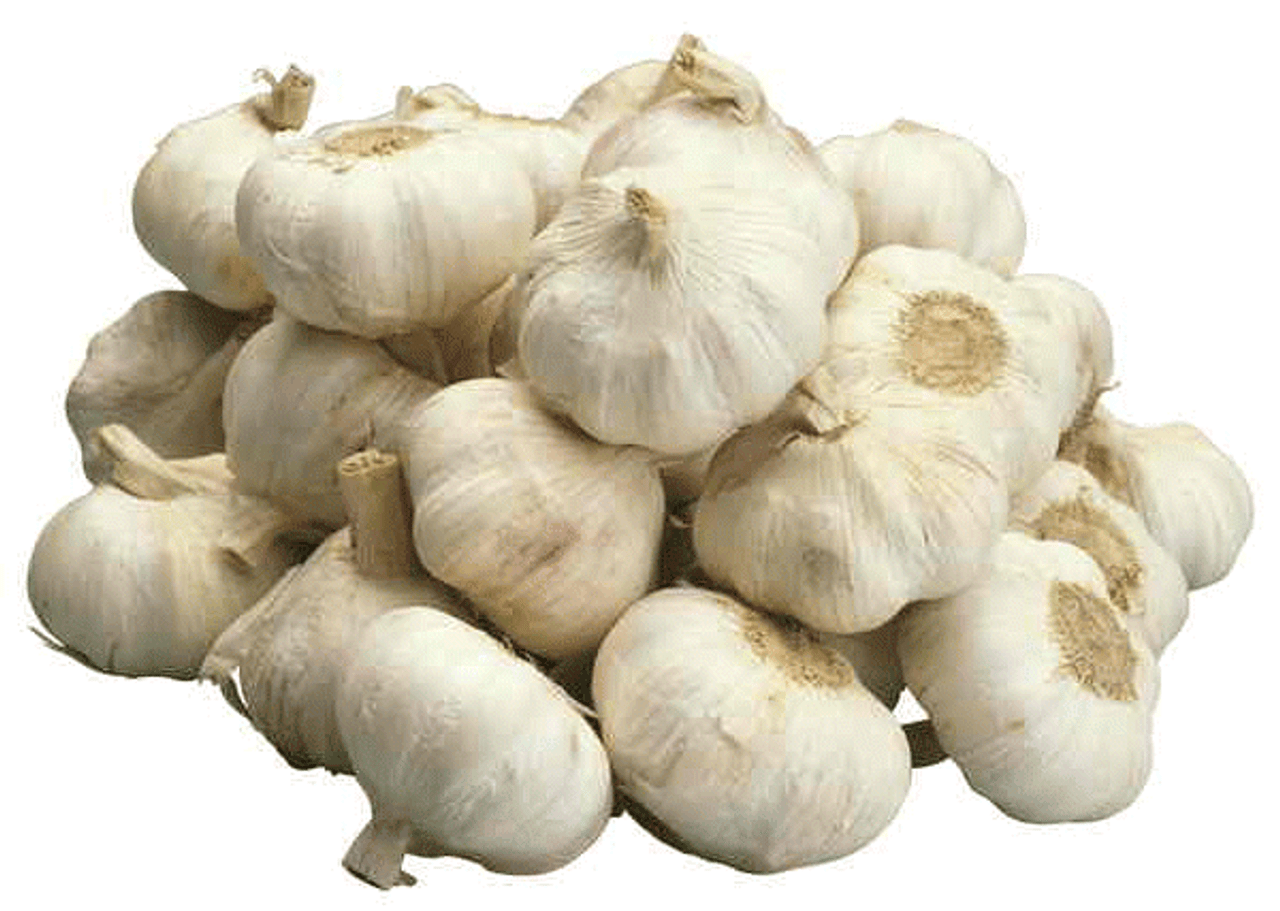 GARLIC NZ kg