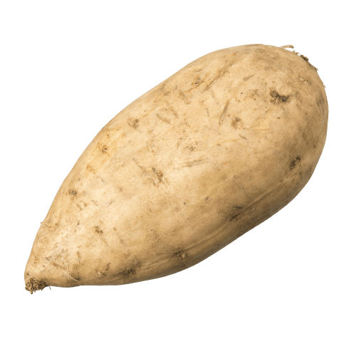 KUMARA GOLD KG