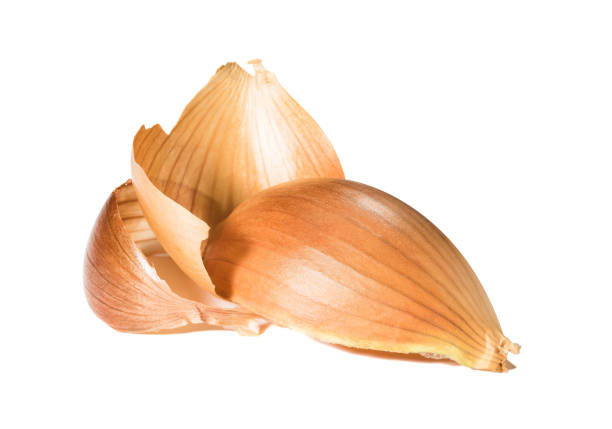 SHALLOTS GOLDEN kg