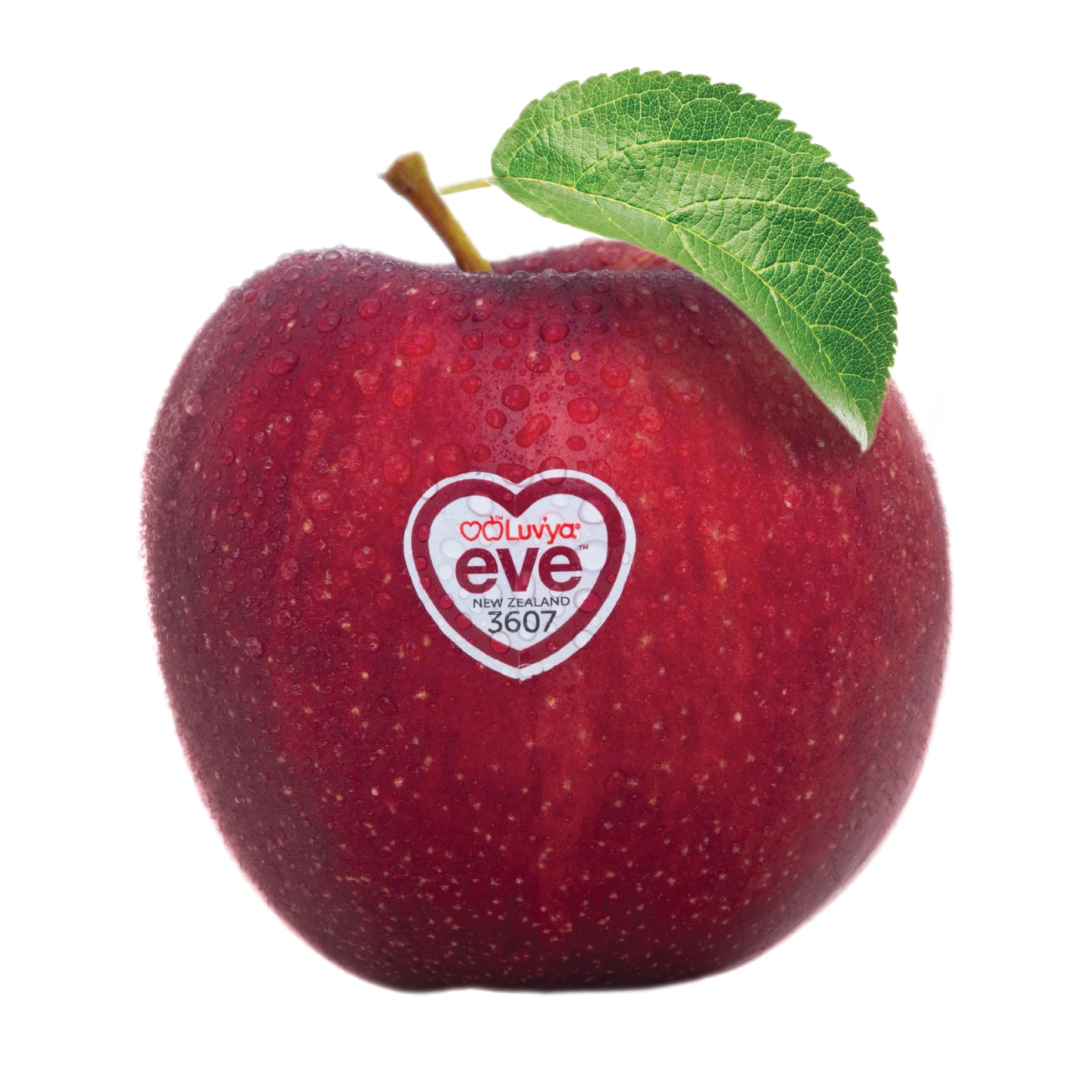EVE APPLES KG