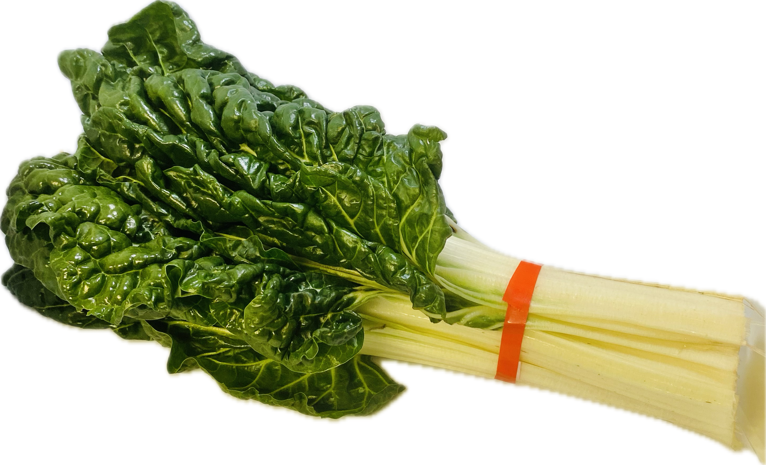 SILVERBEET bunch