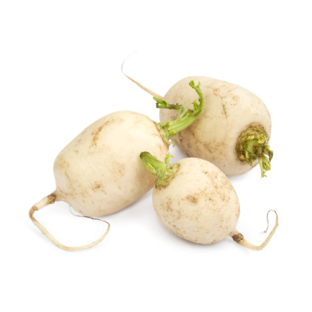 WHITE TURNIP KG