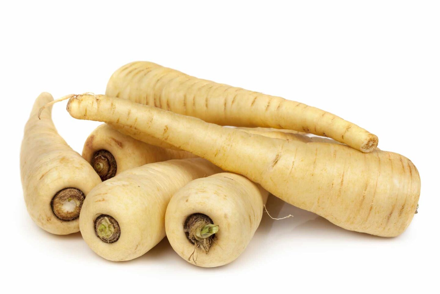 PARSNIP KG
