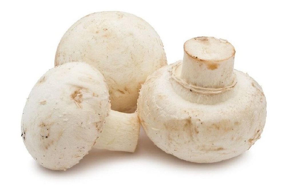 MUSHROOMS WHITE BUTTON kg
