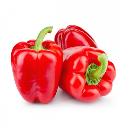 CAPSICUM RED each