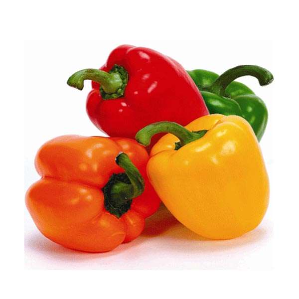 CAPSICUM ALL VARIETIES 3 FOR $6
